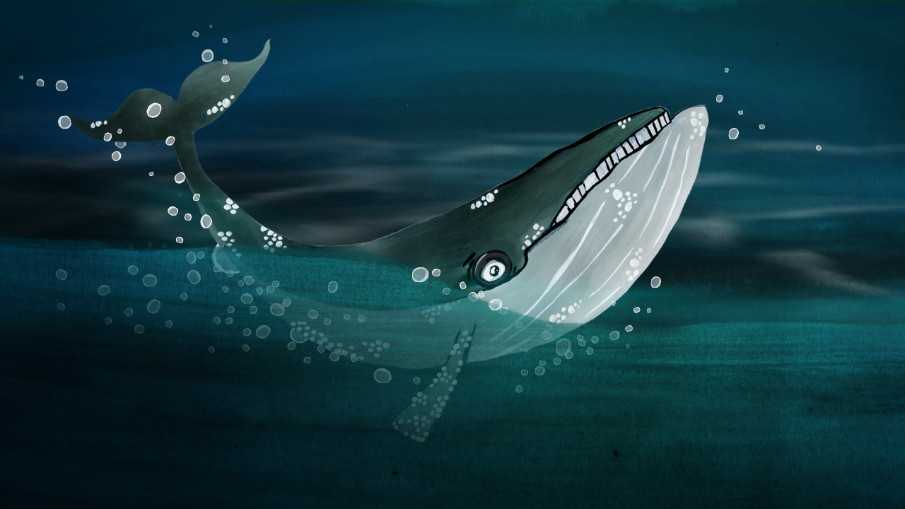 serminkaynak_whale_illustration